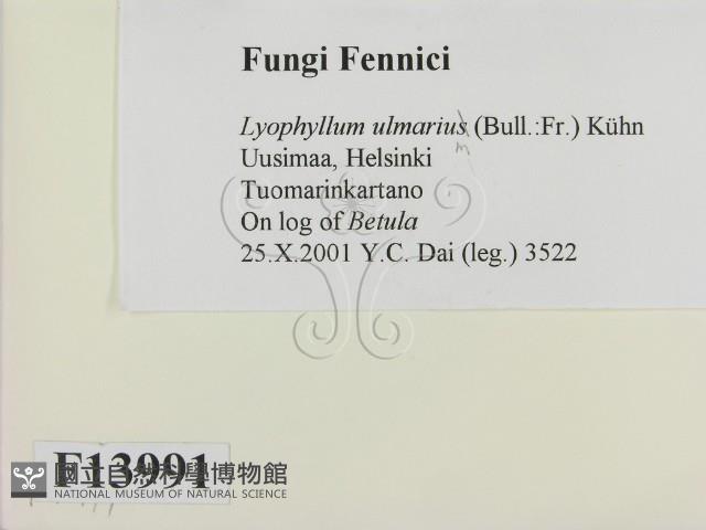 Accession Number:F0013991 Collection Image, Figure 2, Total 3 Figures