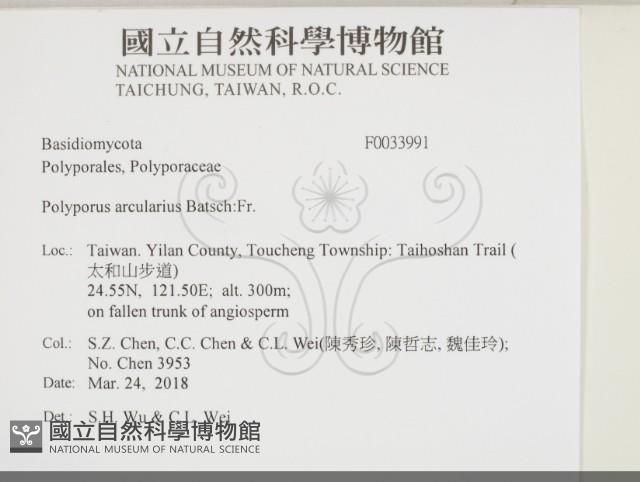 登錄號:F0033991藏品圖，第2張