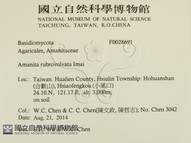 登錄號:F0028691藏品圖，第2張