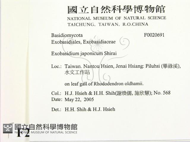 登錄號:F0020691藏品圖，第2張