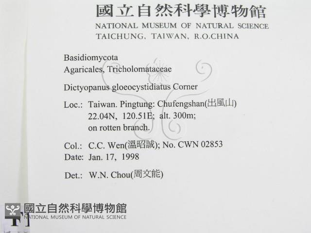 登錄號:F0010691藏品圖，第2張