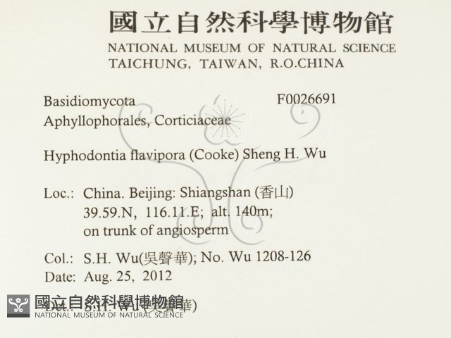 登錄號:F0026691藏品圖，第2張