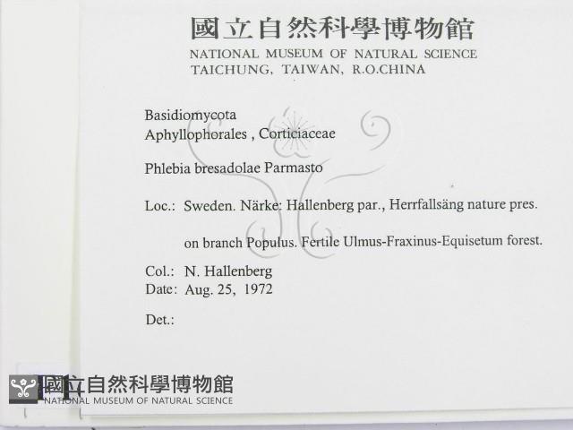 登錄號:F0016691藏品圖，第2張