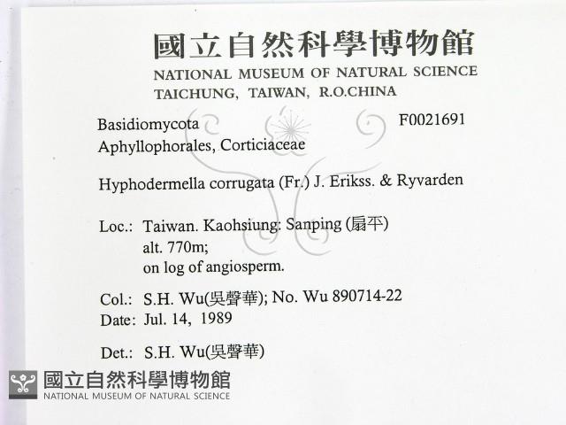 登錄號:F0021691藏品圖，第2張