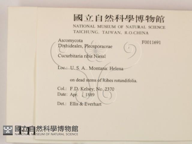 登錄號:F0011691藏品圖，第2張