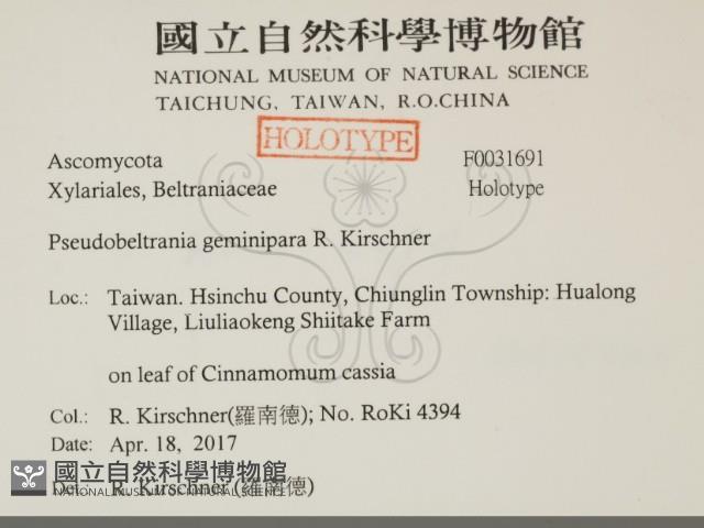 登錄號:F0031691藏品圖，第2張