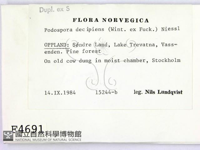 登錄號:F0004691藏品圖，第2張