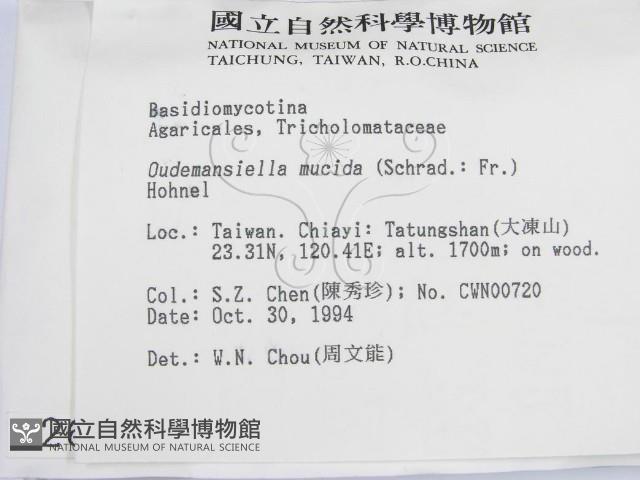 登錄號:F0002691藏品圖，第2張