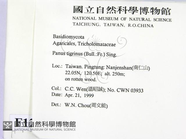 登錄號:F0012691藏品圖，第2張