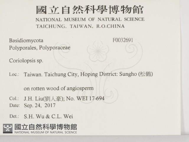 登錄號:F0032691藏品圖，第2張