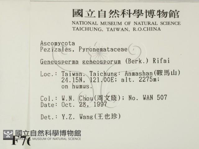 登錄號:F0007691藏品圖，第2張