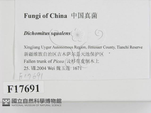 登錄號:F0017691藏品圖，第2張