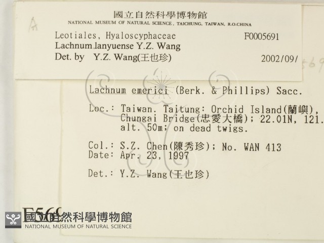 登錄號:F0005691藏品圖，第2張