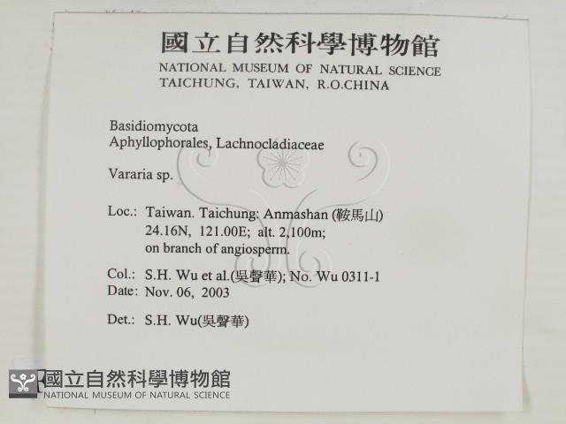 登錄號:F0015691藏品圖，第2張