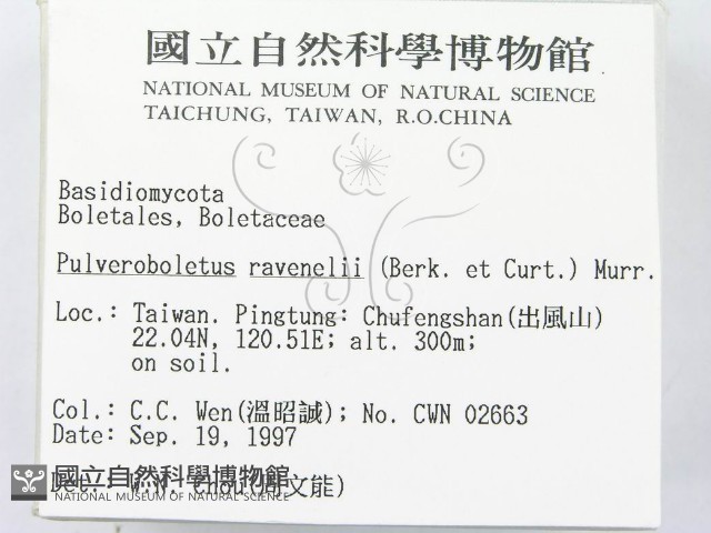 登錄號:F0009691藏品圖，第2張