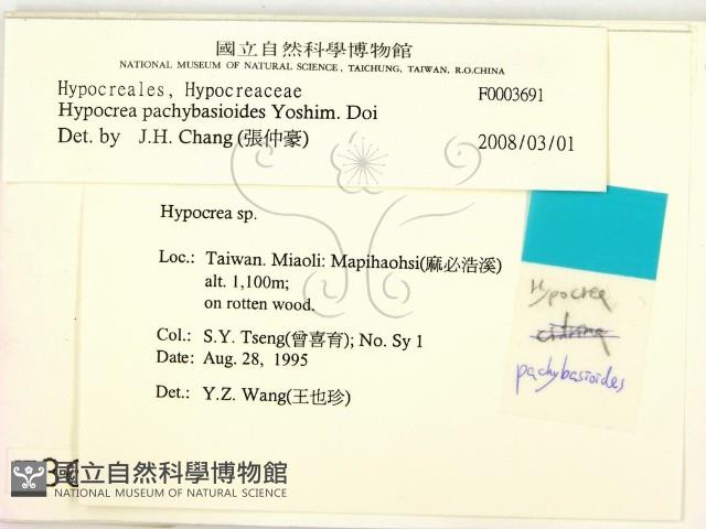 登錄號:F0003691藏品圖，第2張