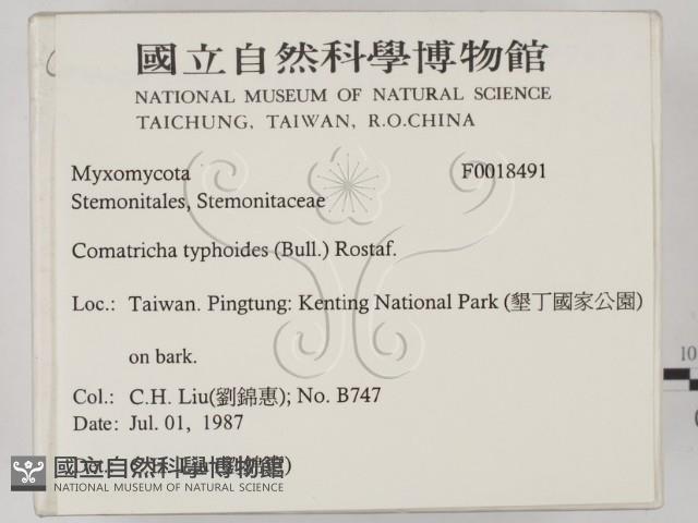 登錄號:F0018491藏品圖，第2張