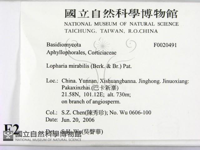 登錄號:F0020491藏品圖，第2張