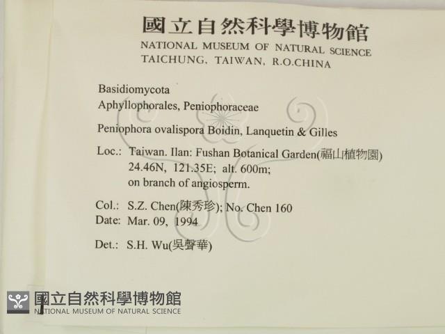 登錄號:F0010491藏品圖，第2張