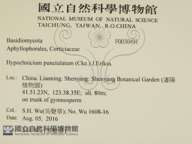 登錄號:F0030491藏品圖，第2張