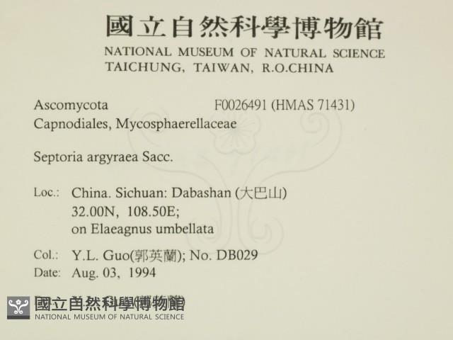 登錄號:F0026491藏品圖，第2張