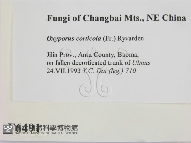 登錄號:F0006491藏品圖，第2張