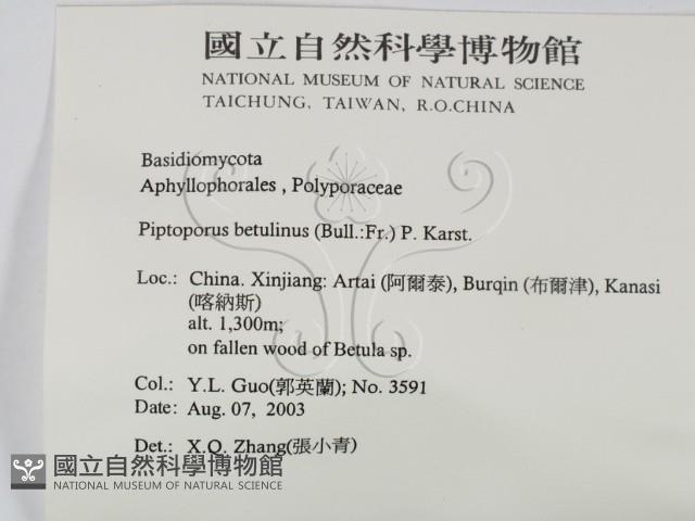 登錄號:F0016491藏品圖，第2張