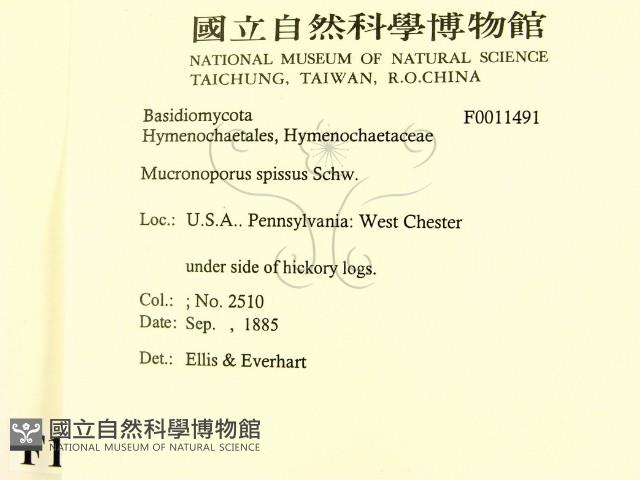 登錄號:F0011491藏品圖，第2張