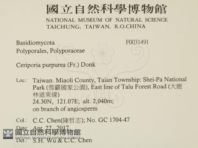 登錄號:F0031491藏品圖，第2張