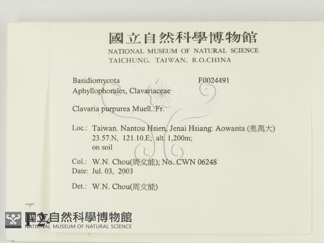 登錄號:F0024491藏品圖，第2張