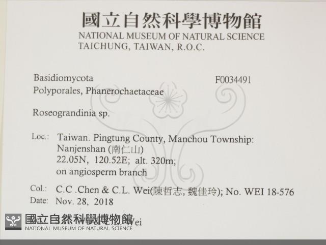 登錄號:F0034491藏品圖，第2張