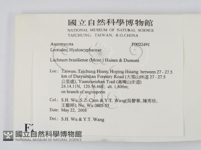 登錄號:F0022491藏品圖，第2張