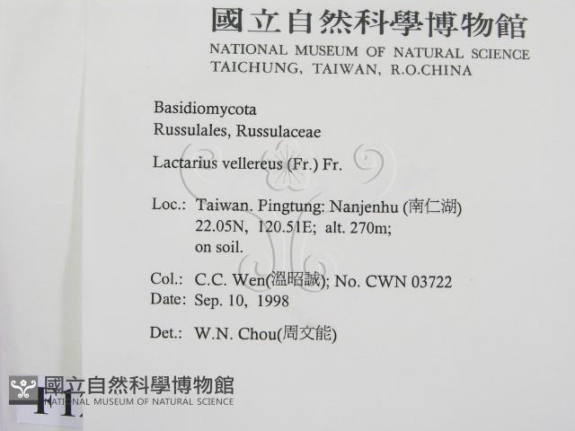 登錄號:F0012491藏品圖，第2張