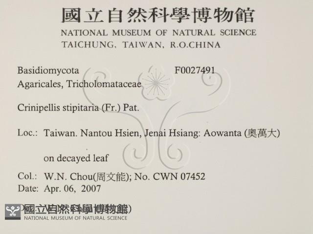 登錄號:F0027491藏品圖，第2張