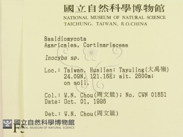 登錄號:F0005491藏品圖，第2張