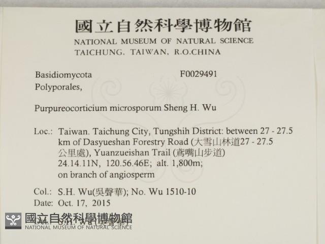 登錄號:F0029491藏品圖，第2張