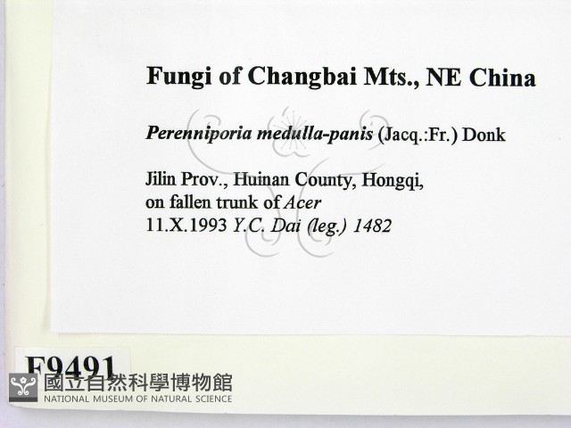 登錄號:F0009491藏品圖，第2張