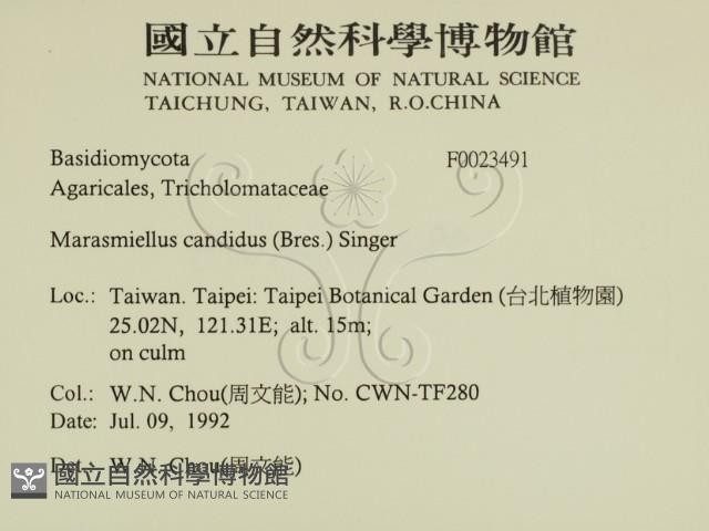 登錄號:F0023491藏品圖，第2張