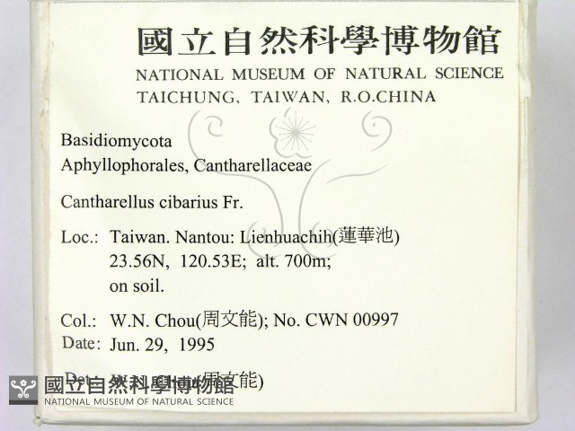 登錄號:F0003491藏品圖，第2張