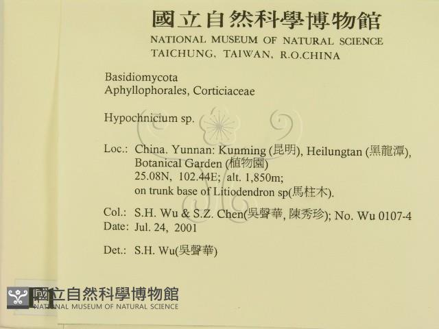登錄號:F0013491藏品圖，第2張