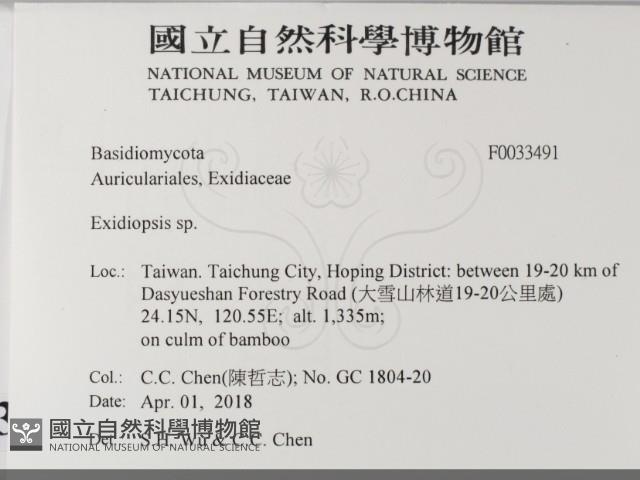 登錄號:F0033491藏品圖，第2張