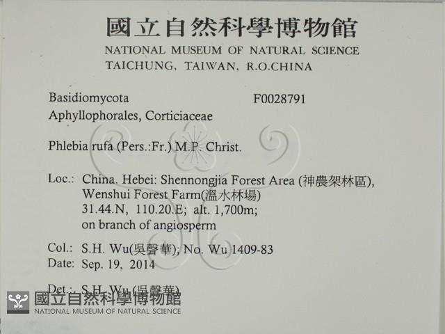 登錄號:F0028791藏品圖，第2張