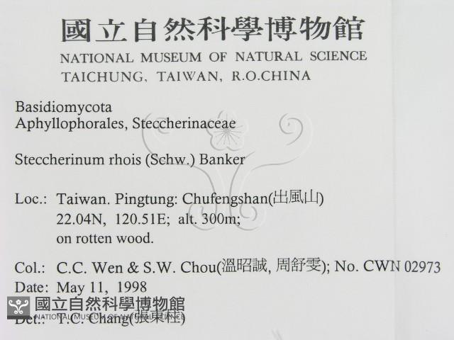 登錄號:F0010791藏品圖，第2張