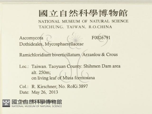 登錄號:F0026791藏品圖，第2張