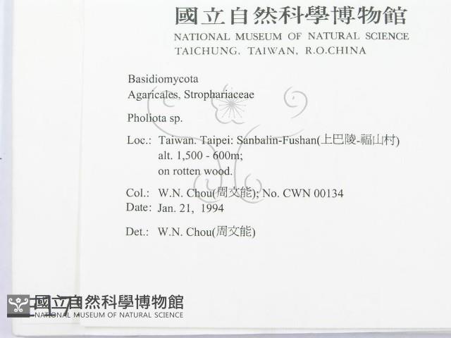 登錄號:F0001791藏品圖，第2張