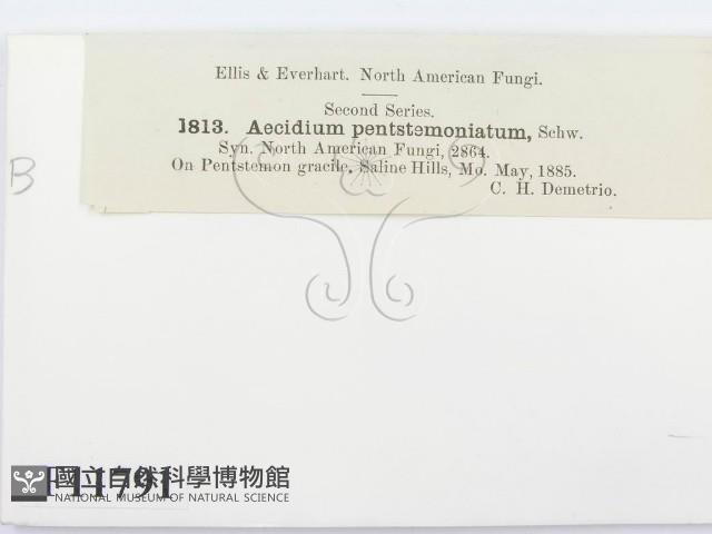 登錄號:F0011791藏品圖，第2張