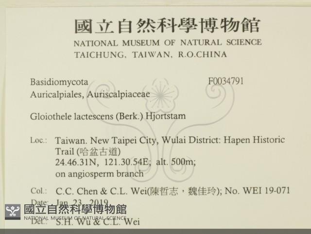 登錄號:F0034791藏品圖，第2張