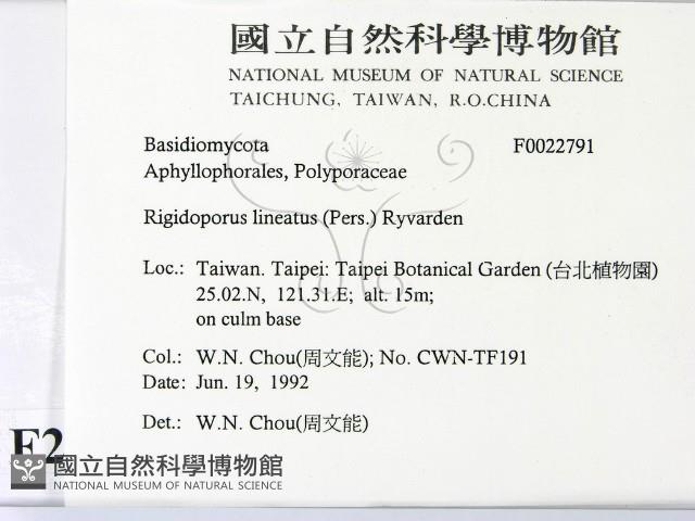 登錄號:F0022791藏品圖，第2張