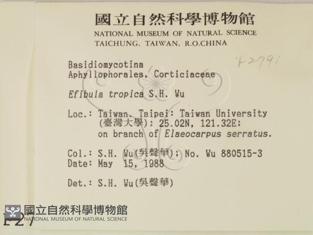登錄號:F0002791藏品圖，第2張