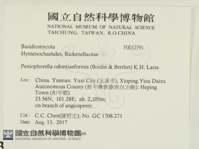 登錄號:F0032791藏品圖，第2張